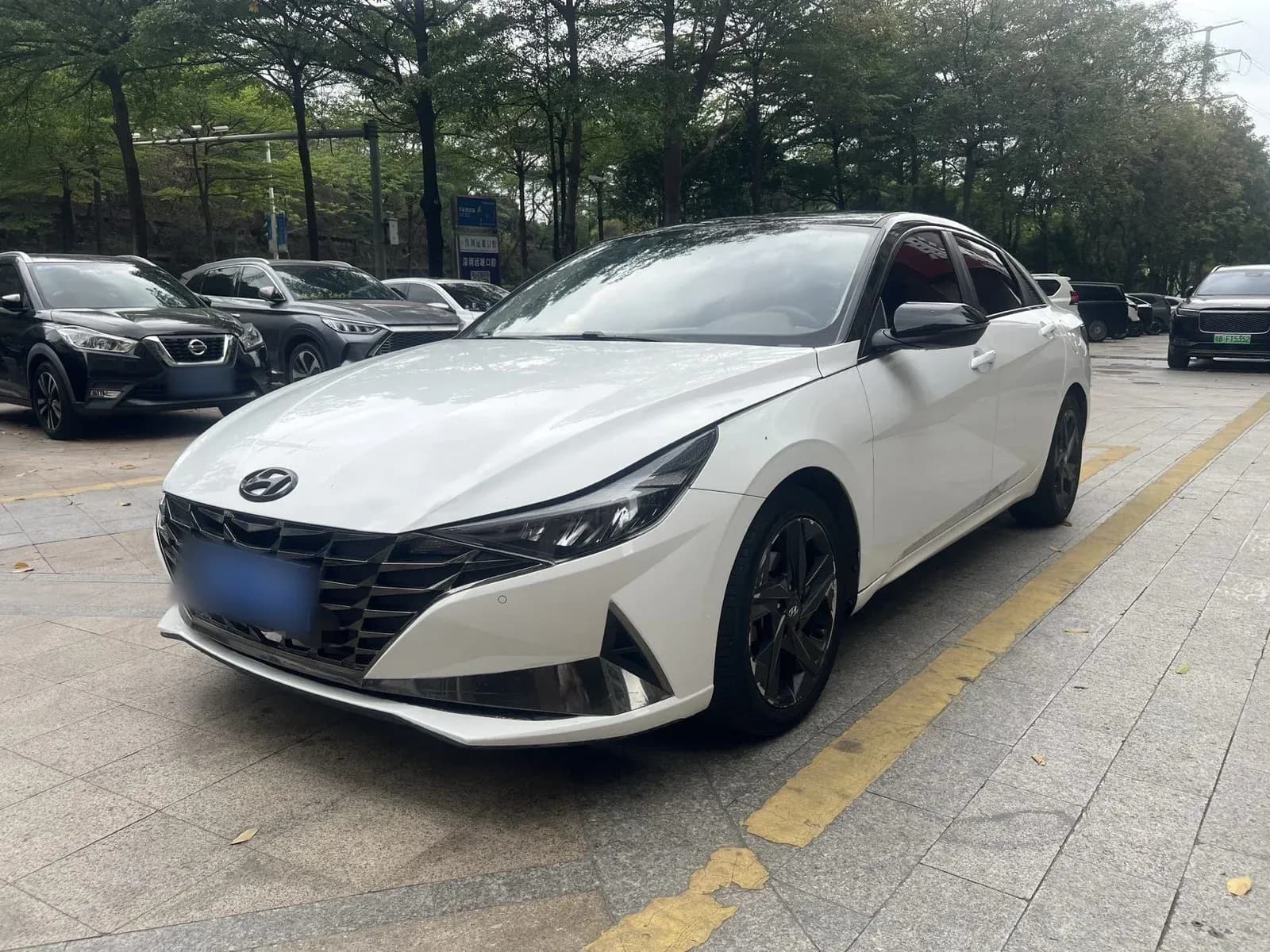 Vehicle Cover