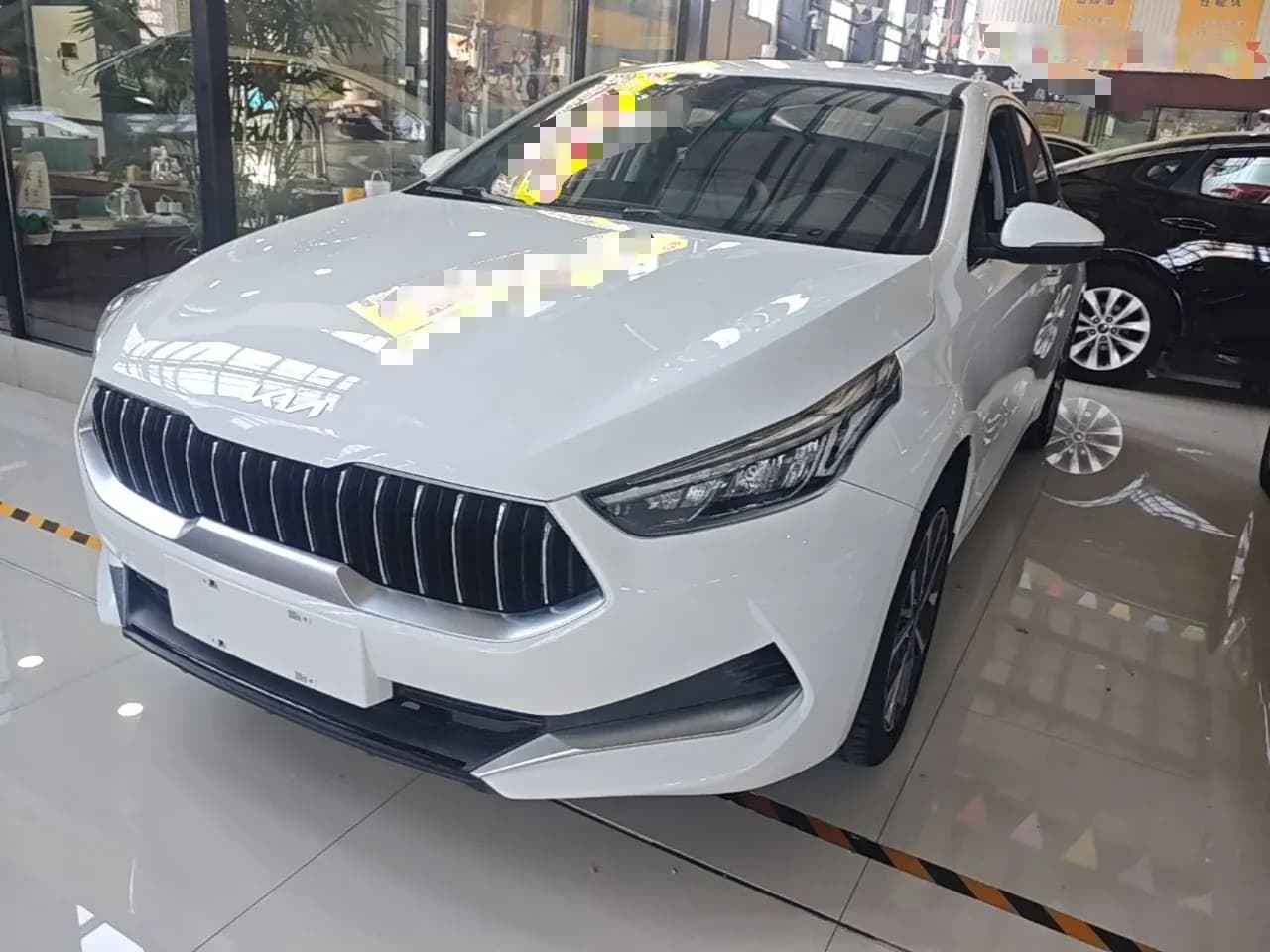 Vehicle Cover