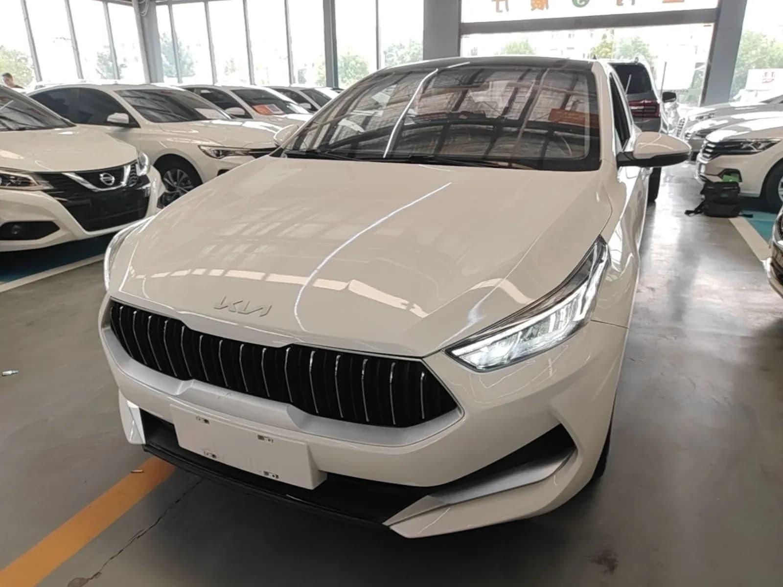 Vehicle Cover