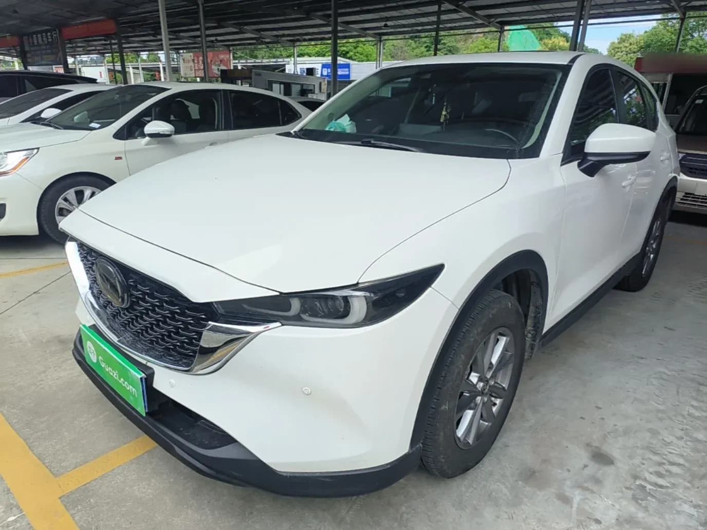 Vehicle Cover