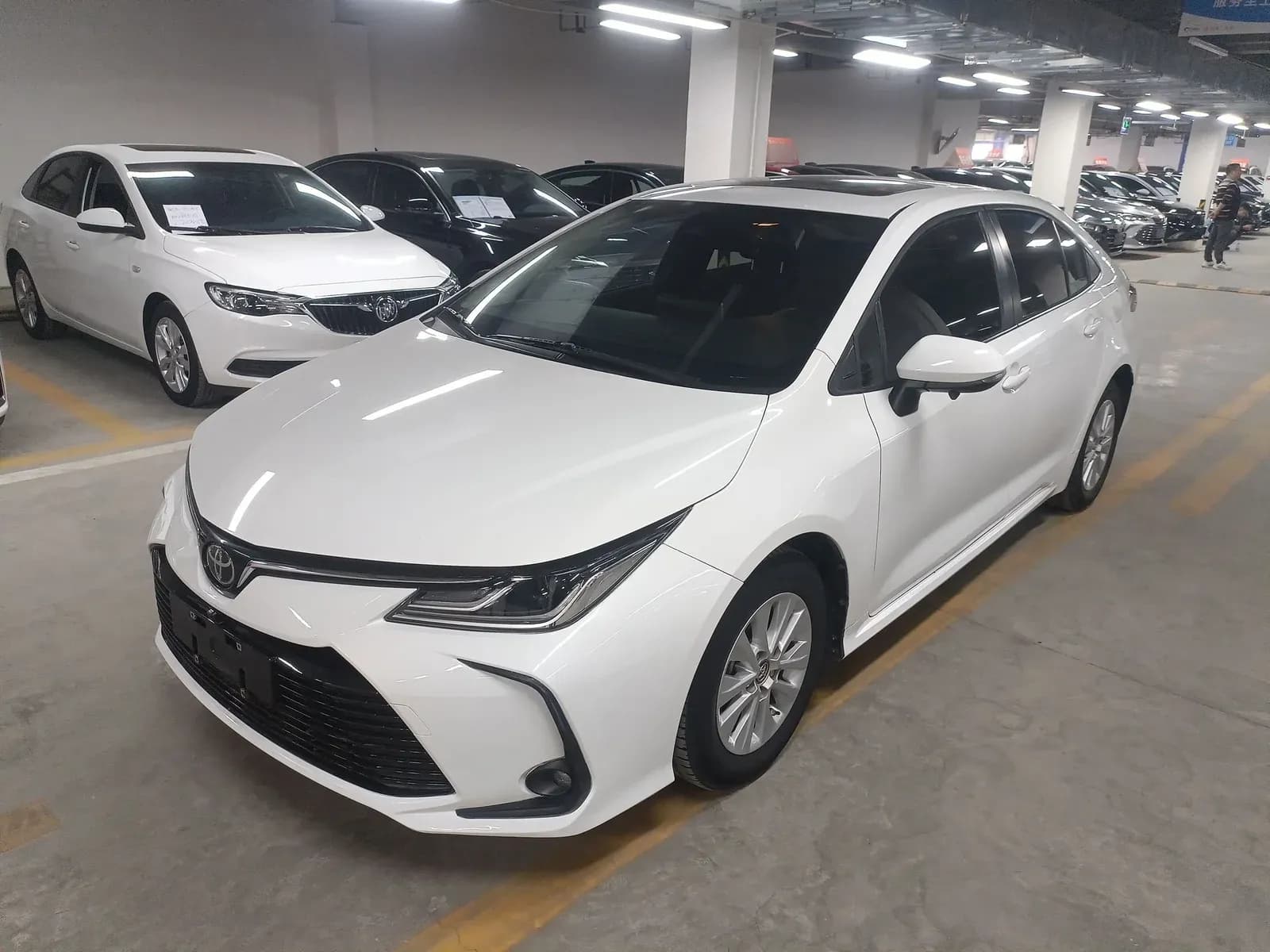 Vehicle Cover