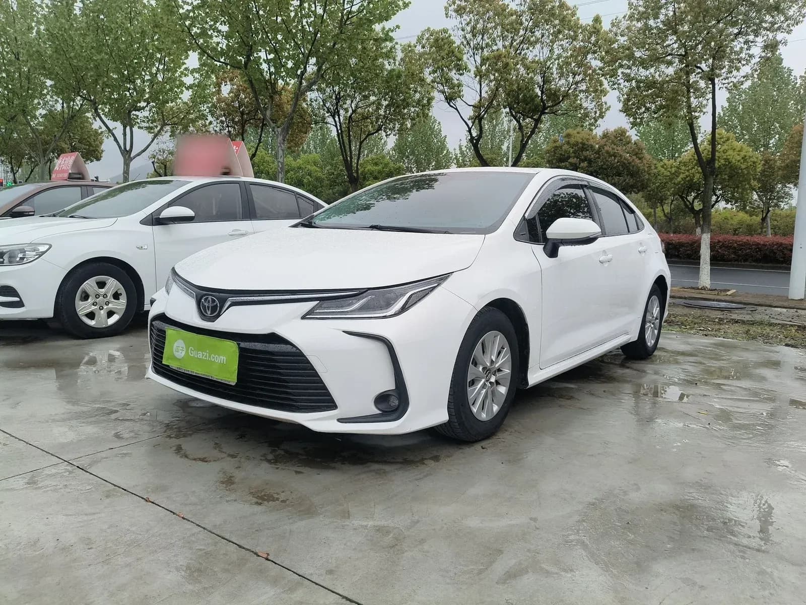 Vehicle Cover