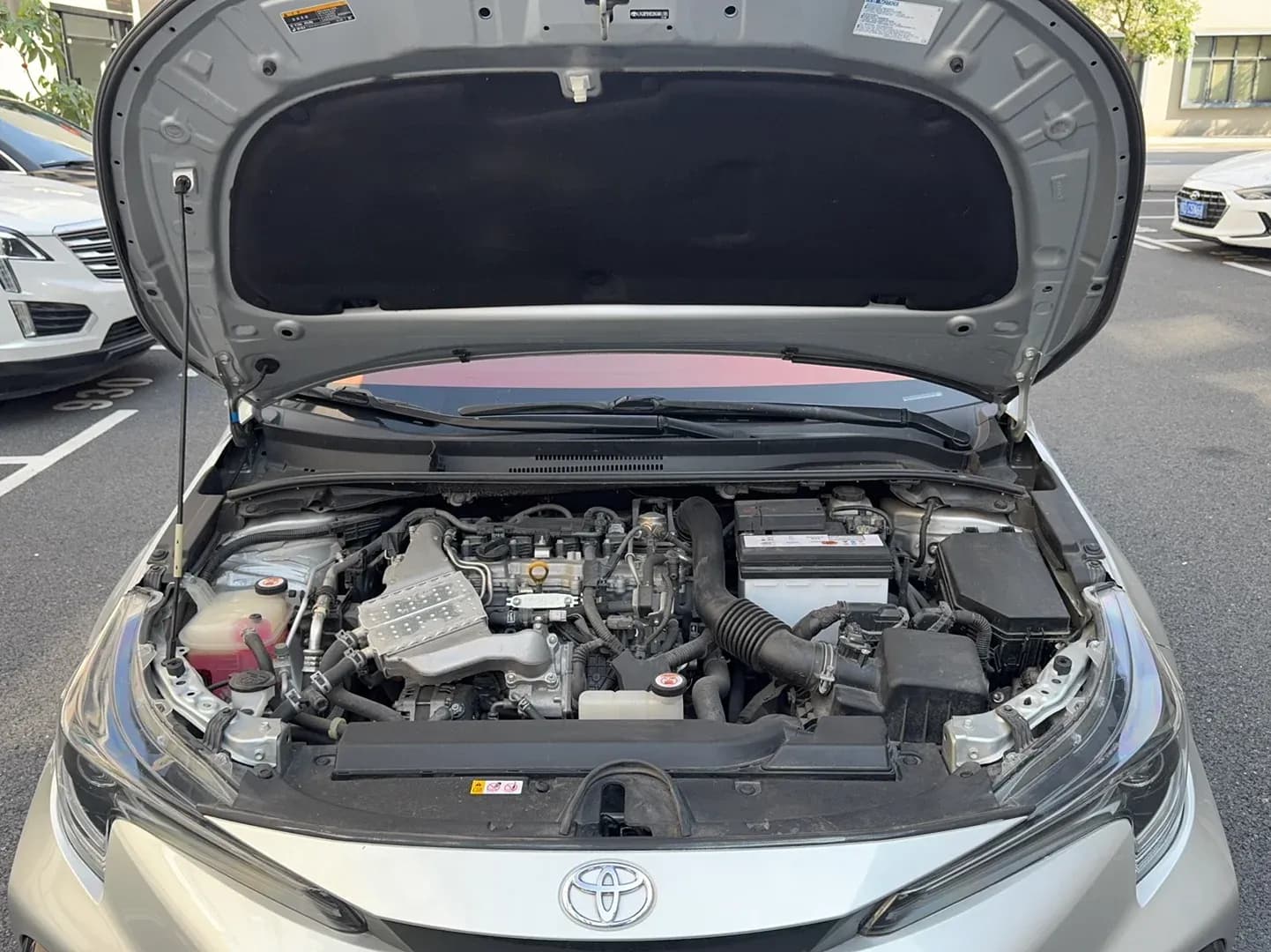 Thumbnail - Toyota Levin 185T CVT Sport condition photo 21