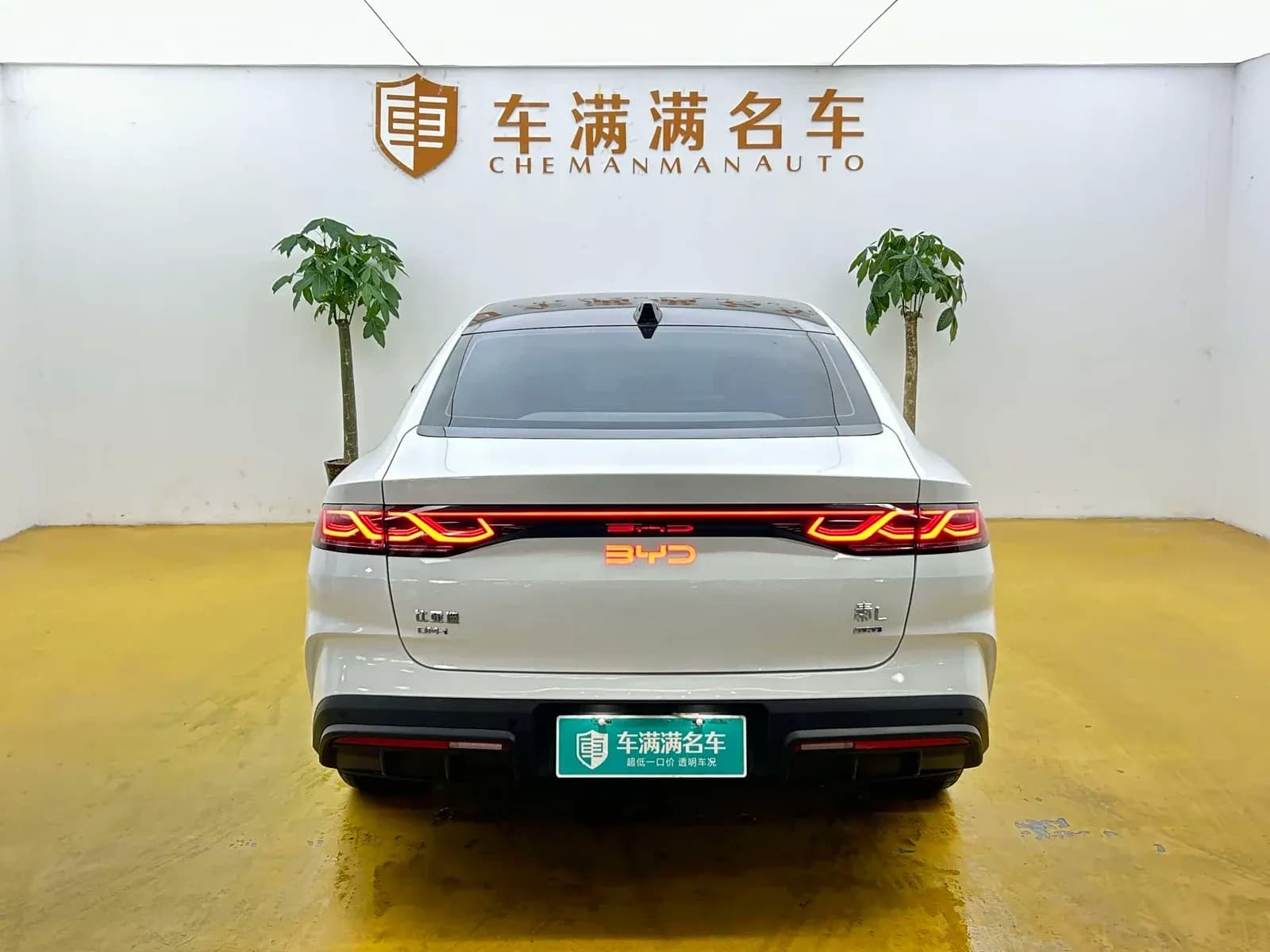 Vehicle Cover