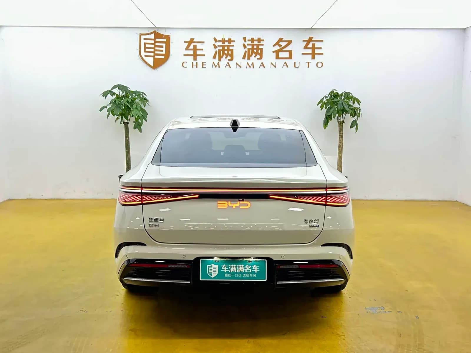 Vehicle Cover
