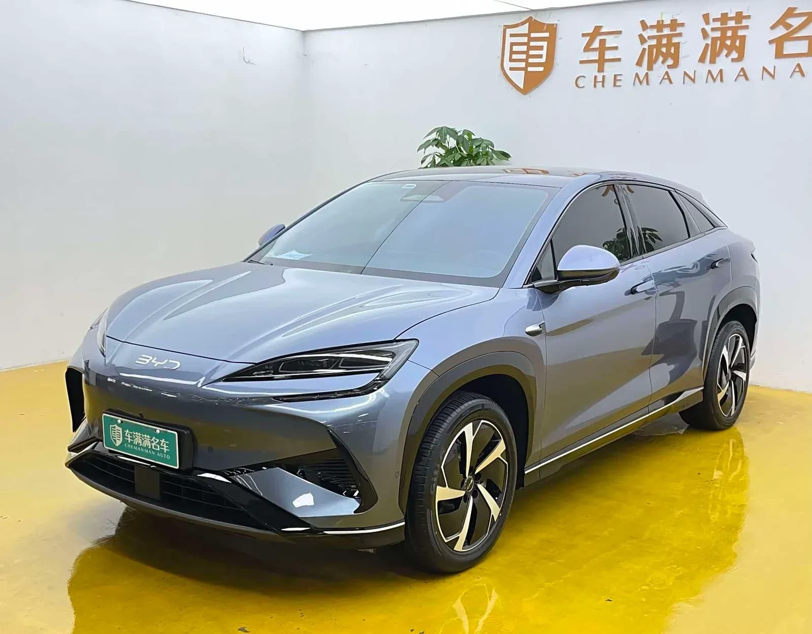 Sealion 07 EV