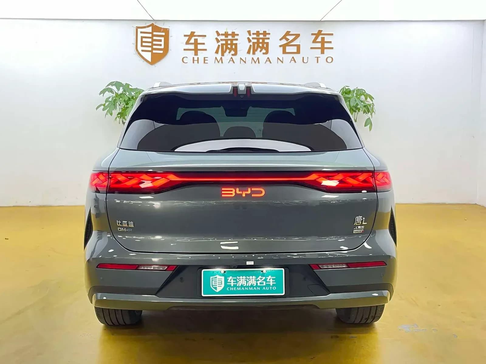 Vehicle Cover