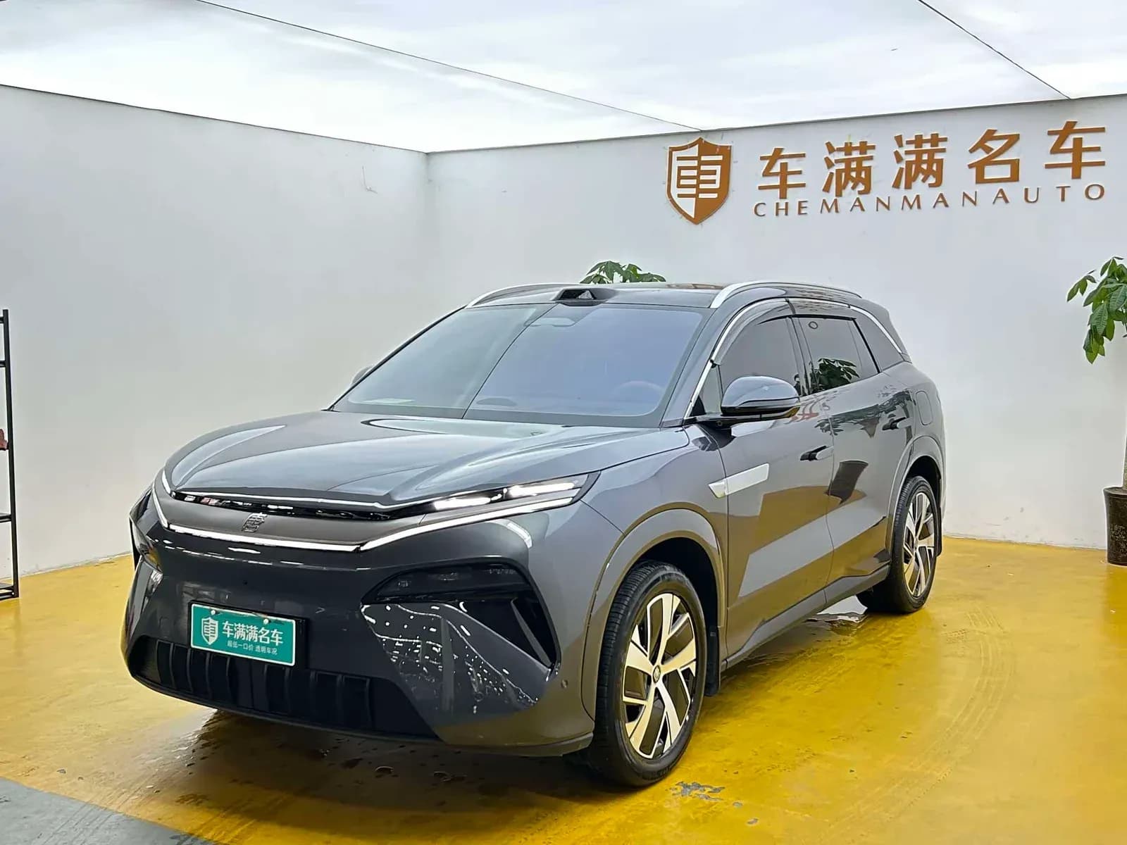 Tang L