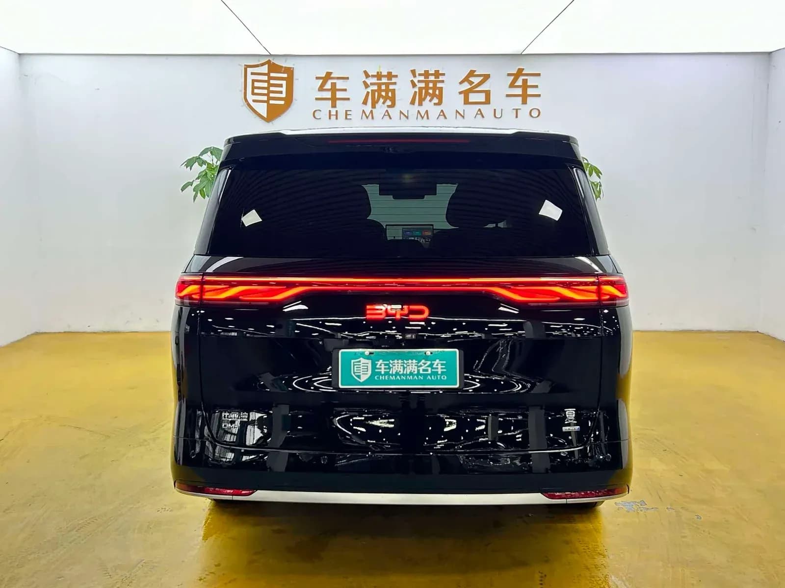 Vehicle Cover