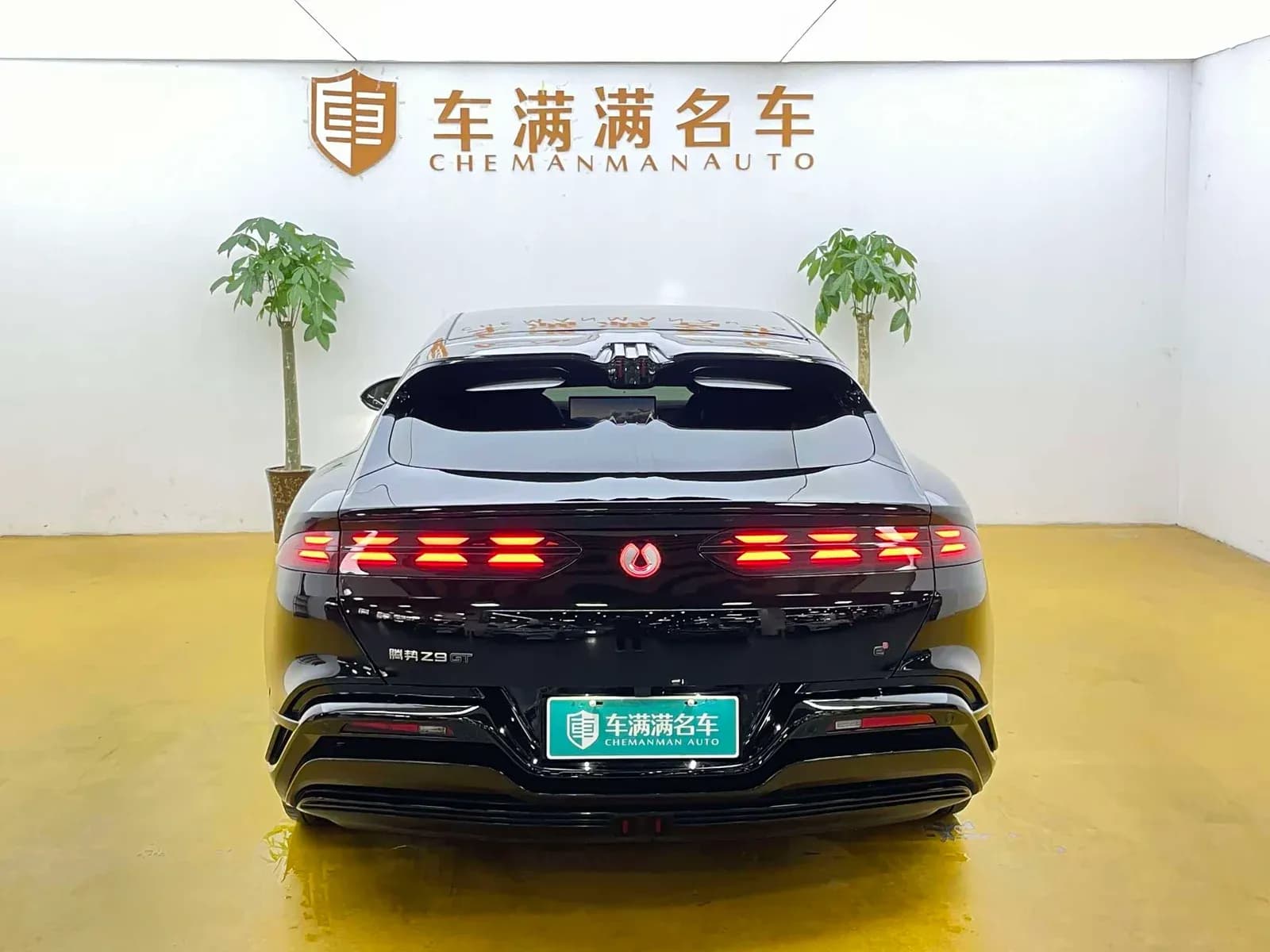 Vehicle Cover