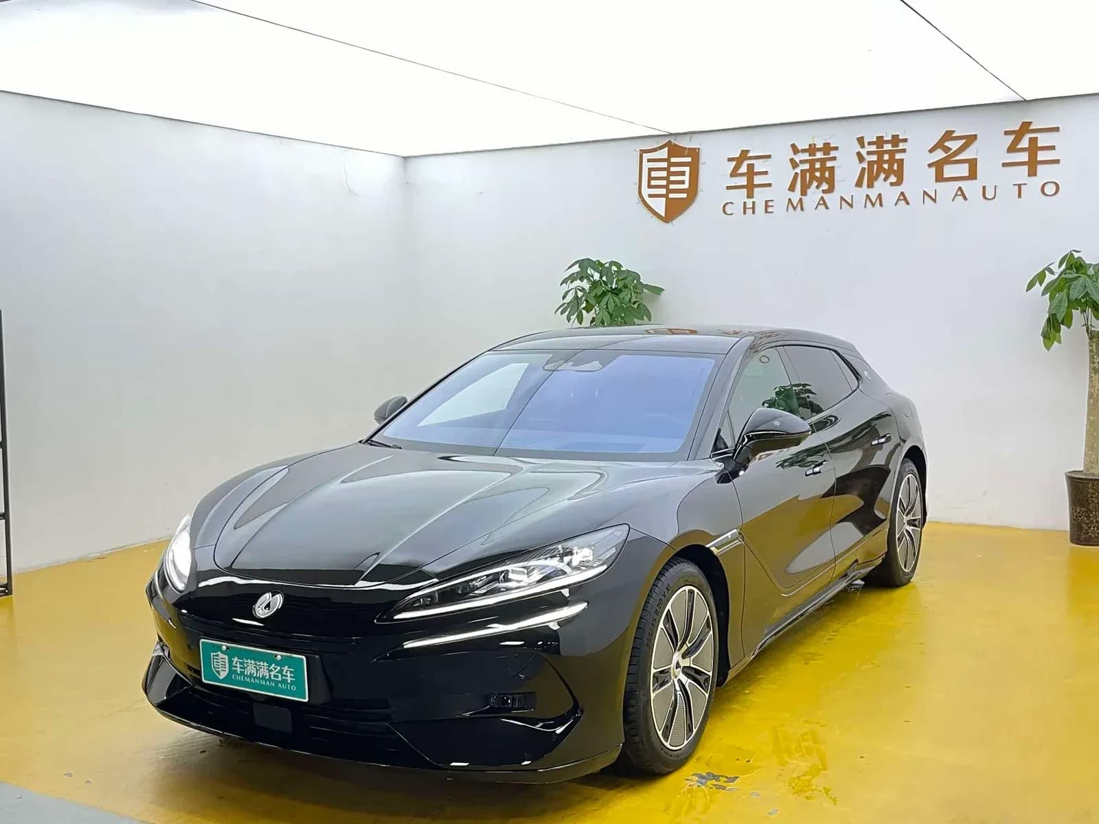 Z9 GT