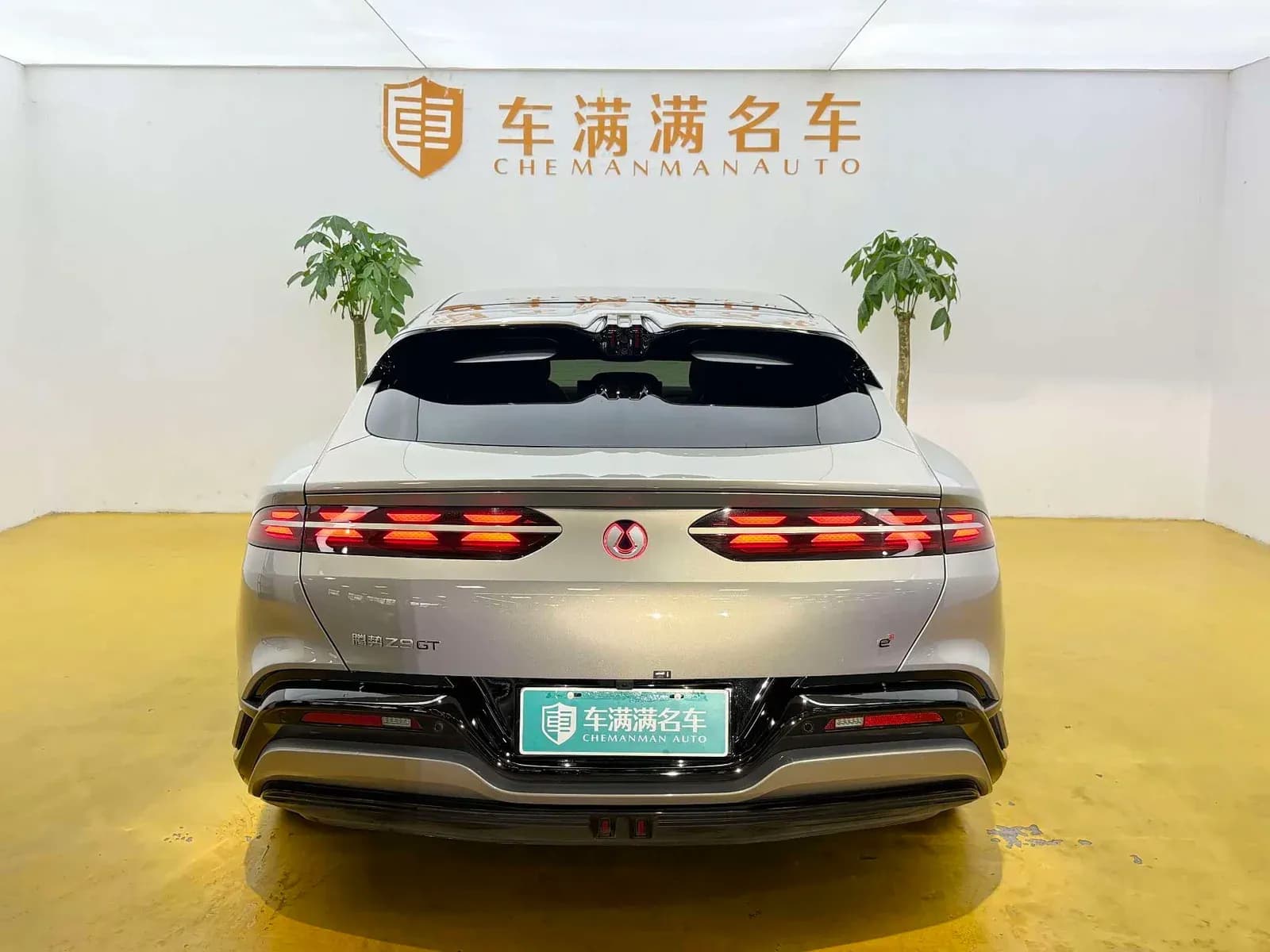Vehicle Cover