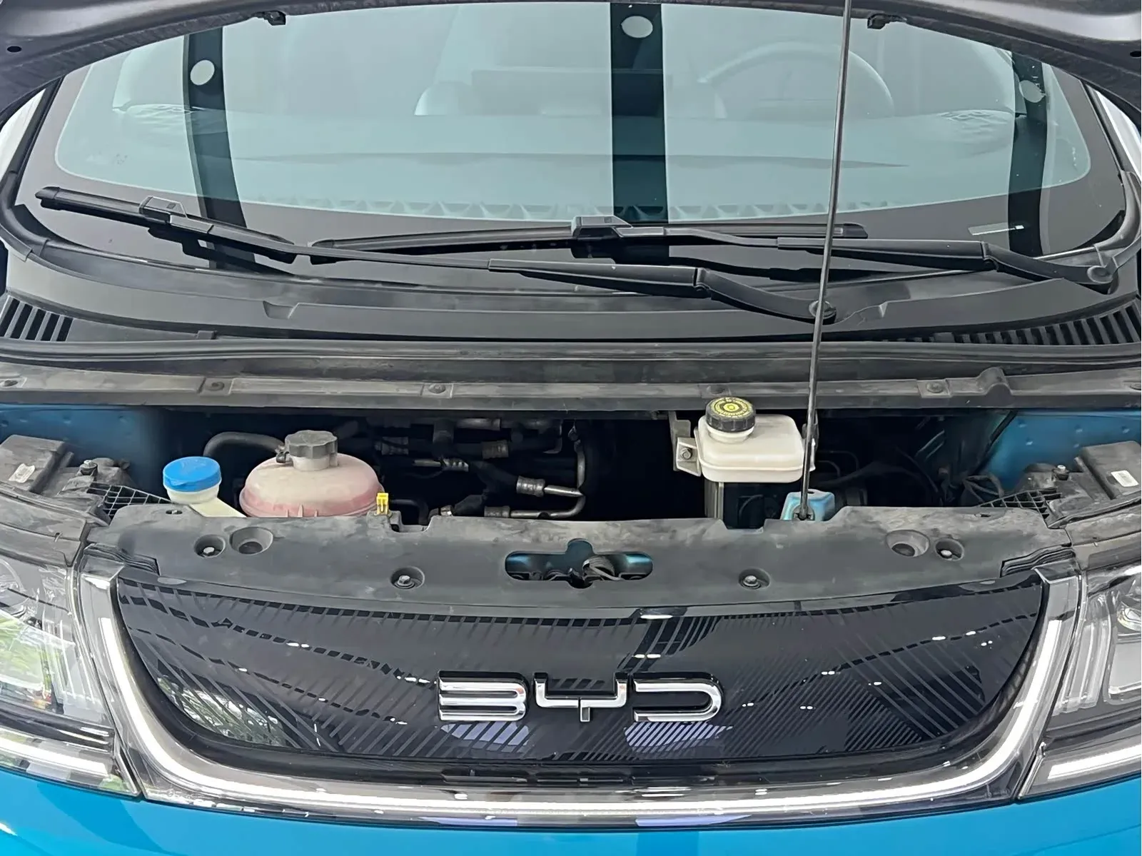 Thumbnail - BYD Dolphin 2023 401KM Shenzhen 2023-05 49k km used car photo 5