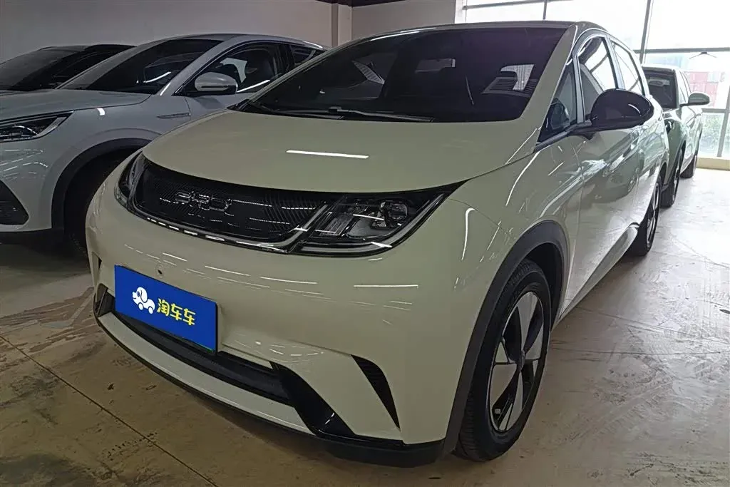 Thumbnail - BYD Dolphin 2023 401KM Shenzhen 2023-05 49k km used car photo 28