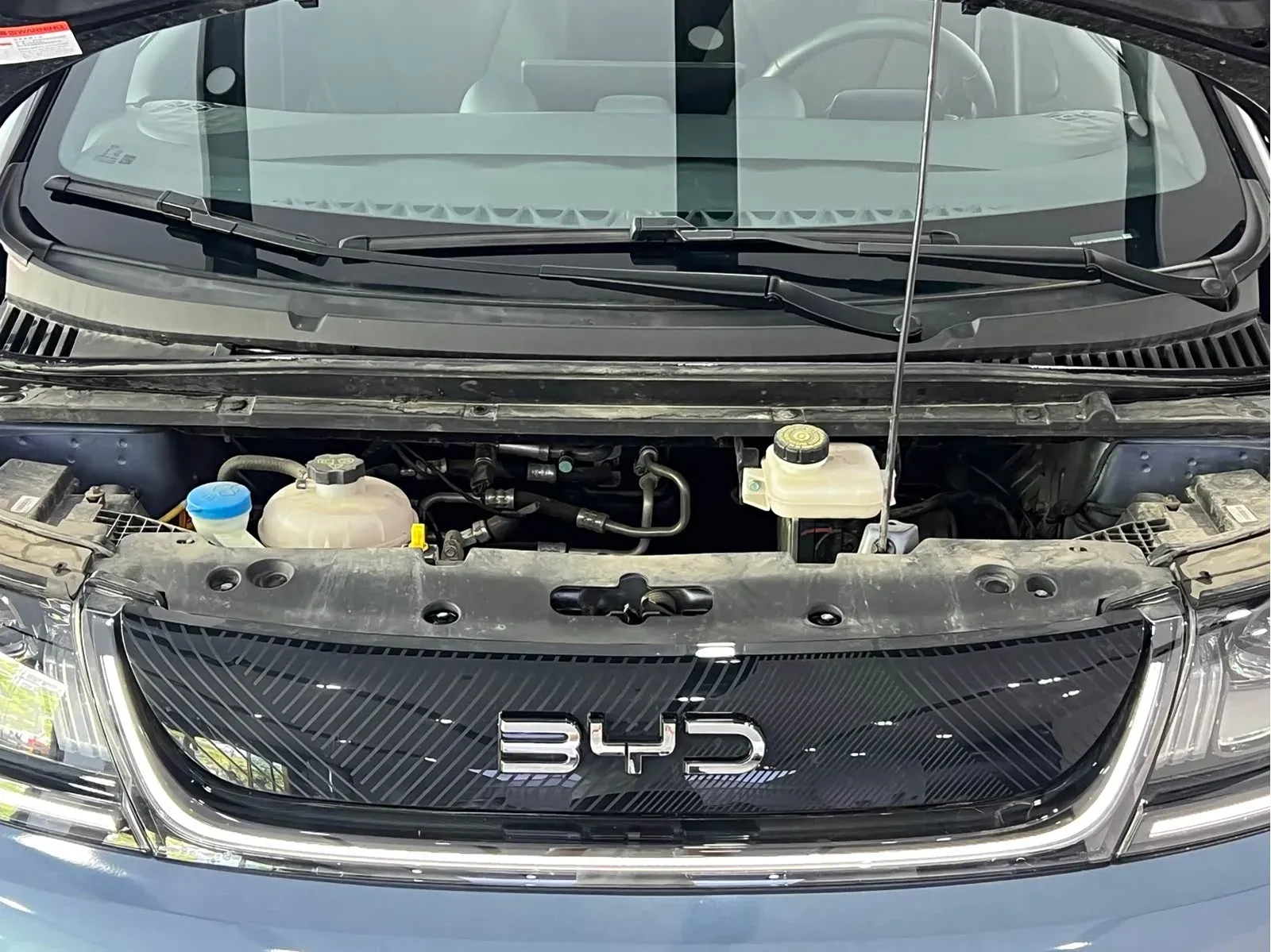 Thumbnail - BYD Dolphin 2024 Glory Edition 401KM Shenzhen 2024-03 34k km used car photo 5