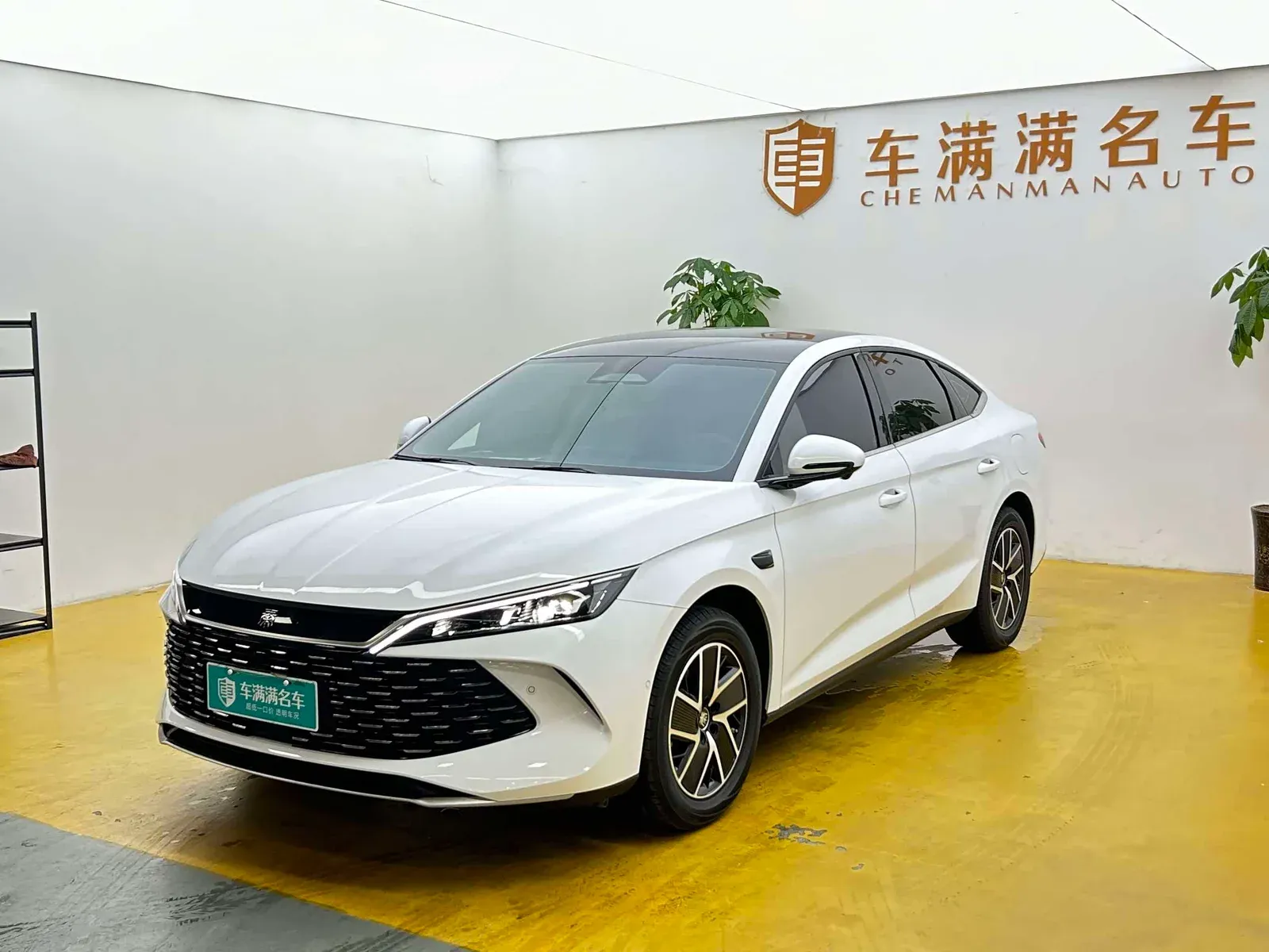 Vehicle Cover