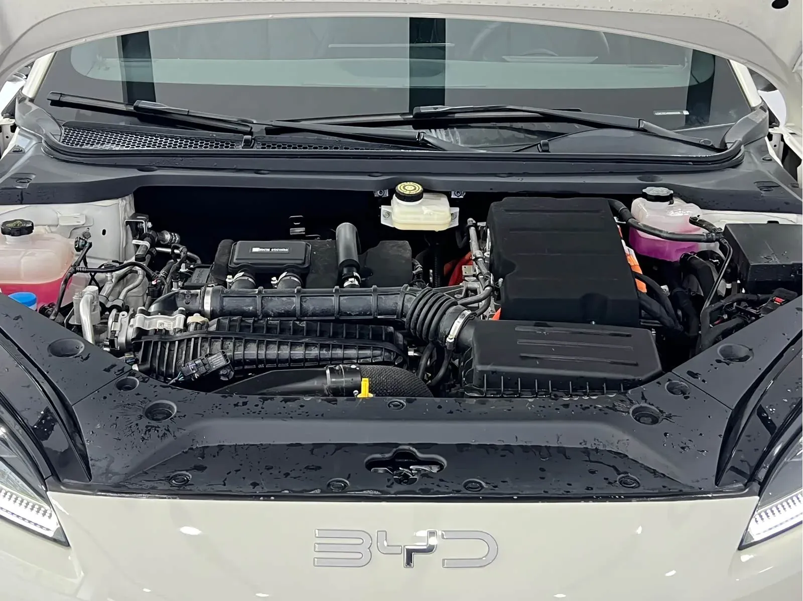 Thumbnail - BYD Seal 06 2025 DM-i Intelligent Drive 120KM Premium Shenzhen 2025-03 1k km used car photo 5