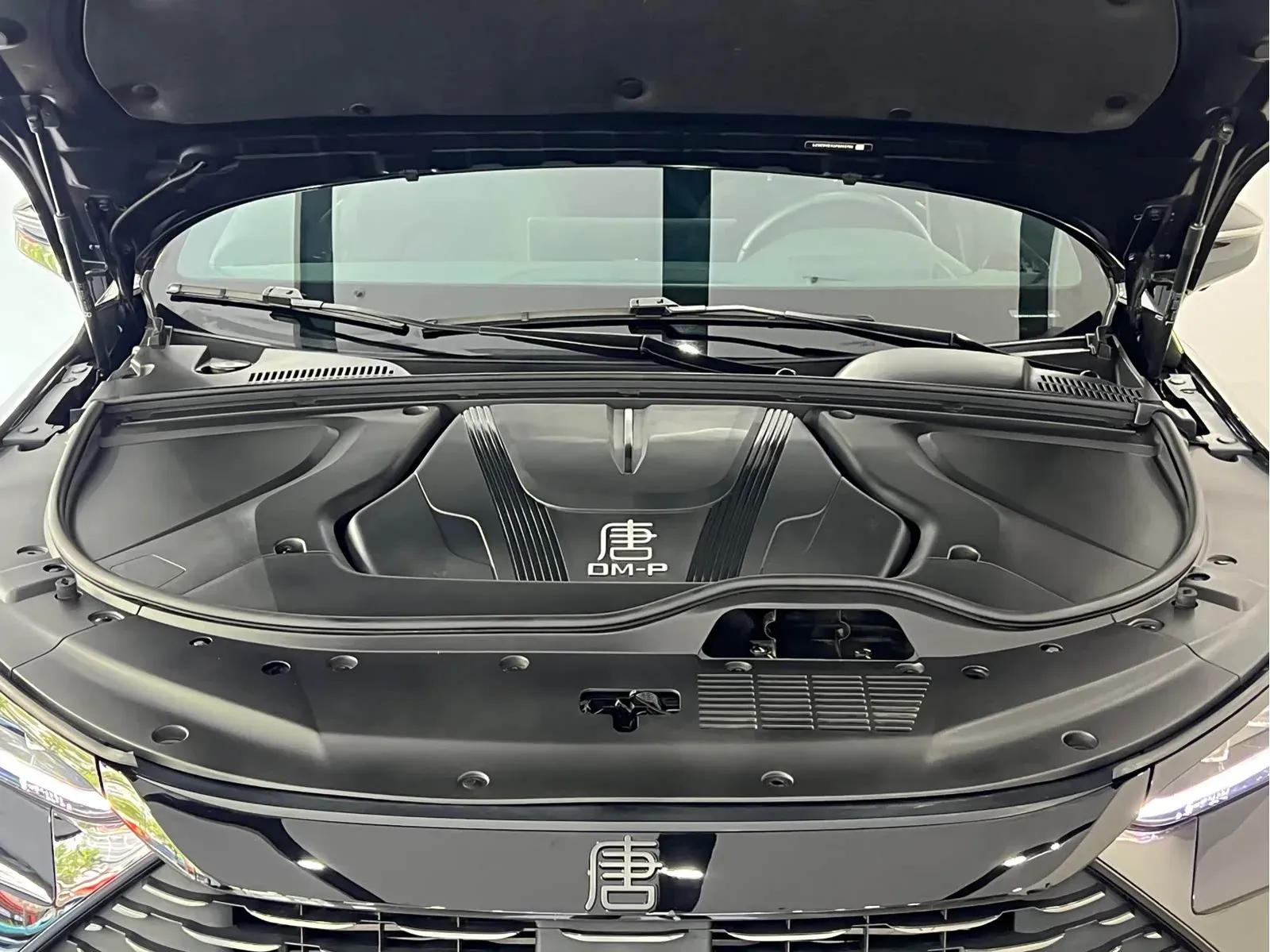 Thumbnail - BYD Tang New Energy 2024 DM-p Shenzhen 2023-11 56k km used car photo 5